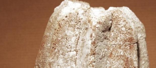 Disabile muore soffocato da fetta di pandoro Disabile muore soffocato da fetta di pandoro