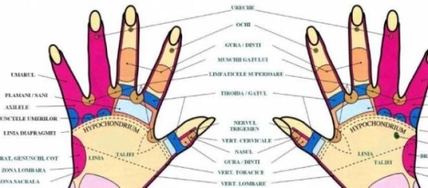 Reflexoterapia palmara si beneficiile ei Reflexoterapia palmara si beneficiile ei