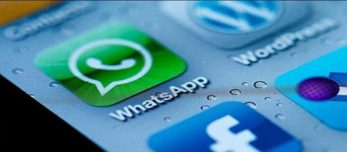 Ultime news su WhatsApp per iPhone e Android