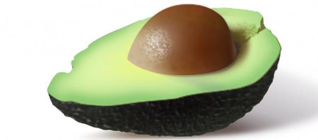 El aguacate, también llamado Persea americana El aguacate, también llamado Persea americana