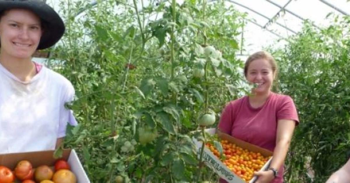 La agricultura ecológica no siempre es mejor para el medio