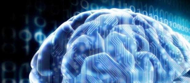 El cerebro y los ordenadores no son muy diferentes El cerebro y los ordenadores no son muy diferentes