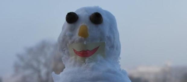 Bonecos de Neve geram polémica. Bonecos de Neve geram polémica.