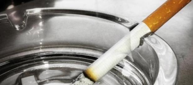 Um cigarro a arder, pousado num cinzeiro Um cigarro a arder, pousado num cinzeiro