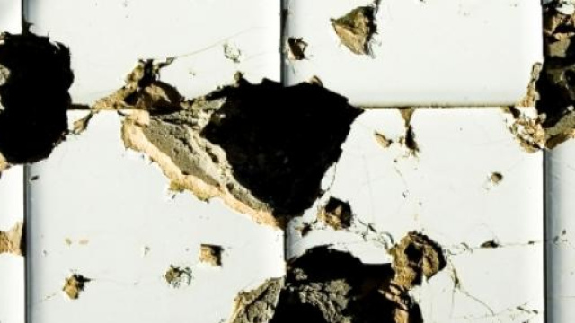 come una bomba, la nuova frontiera del terrorismo.