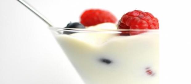 Yogur, alimento indispensable en nuestra dieta Yogur, alimento indispensable en nuestra dieta