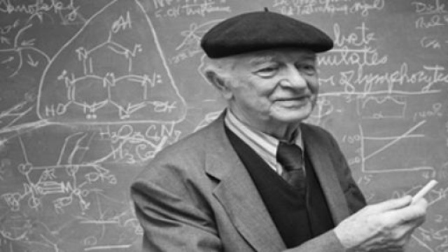 Pensioni Quota 96 Scuola, il Comitato si ribella 