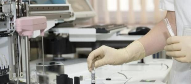 Embrapa oferece oportunidades para estudantes Embrapa oferece oportunidades para estudantes