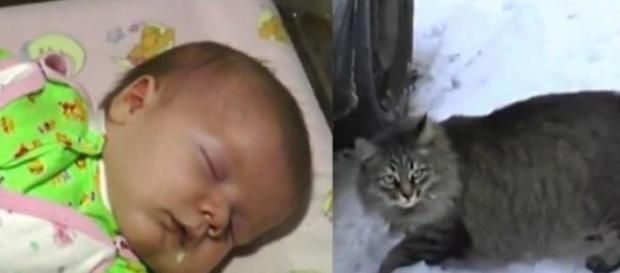 Masha è diventata un eroe salvando un bambino Masha è diventata un eroe salvando un bambino