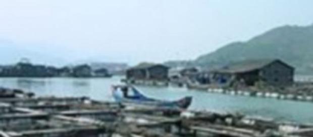 Ferme d'élevage de poissons en Chine Ferme d'élevage de poissons en Chine
