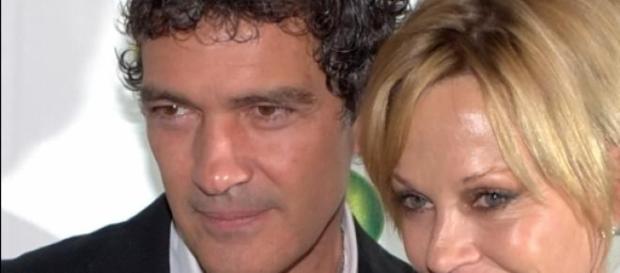¿Qué opinará Antonio Banderas al respecto? ¿Qué opinará Antonio Banderas al respecto?