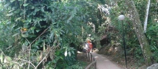 Turistas desbravam trilhas em Ilhabela neste verão Turistas desbravam trilhas em Ilhabela neste verão