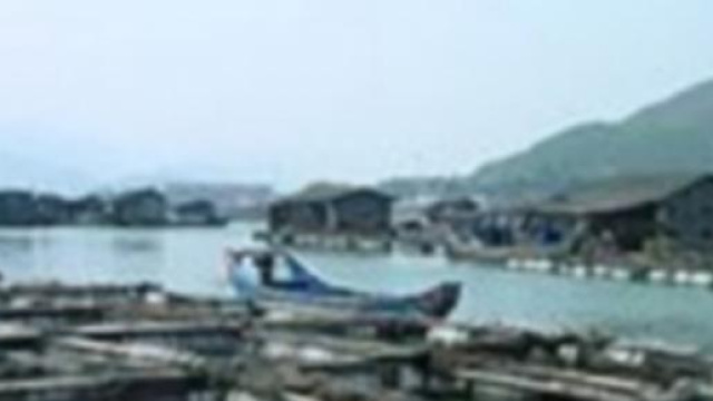 Ferme d'élevage de poissons en Chine