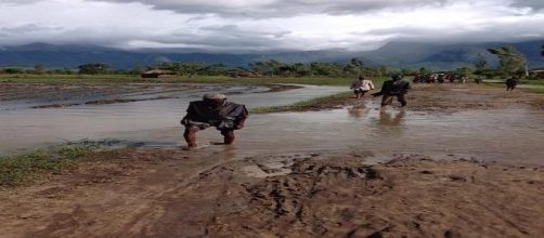 Maliwi, emergenza piogge in aumento 