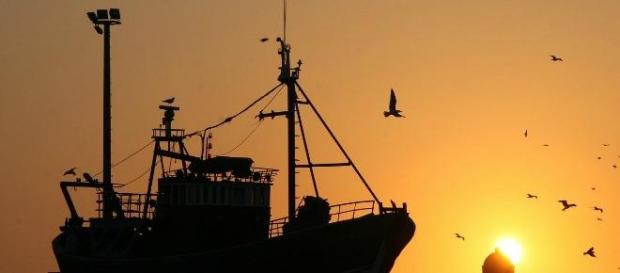 Cinco pescadores desaparecidos ao largo de Sintra Cinco pescadores desaparecidos ao largo de Sintra