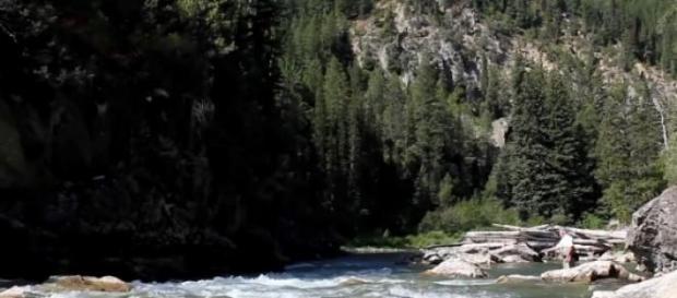 Raul Yellowstone din Montana, SUA Raul Yellowstone din Montana, SUA
