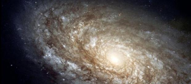 Un principio antrópico regiría el cosmos Un principio antrópico regiría el cosmos