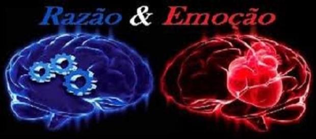 Desafio constante entre razão e emoção Desafio constante entre razão e emoção