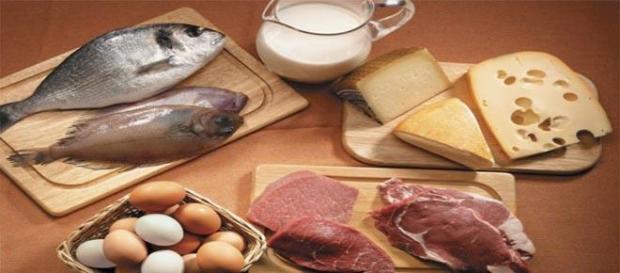 Alimentos ricos en proteinas Alimentos ricos en proteinas