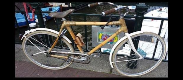 Bicicleta con cuadro de bambú Bicicleta con cuadro de bambú