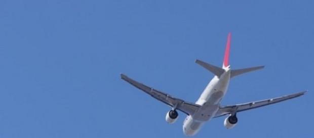 Companhias aéreas procuram portugueses Companhias aéreas procuram portugueses