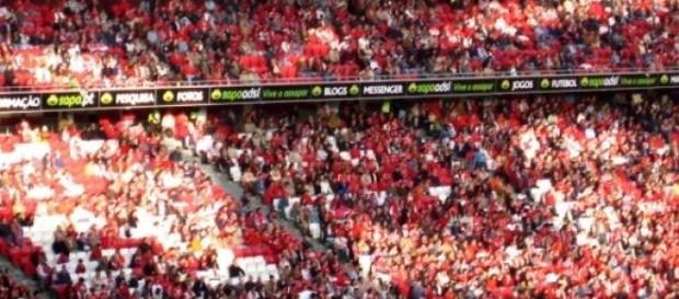 Imagem das bancadas do Estádio da Luz Imagem das bancadas do Estádio da Luz