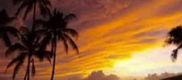 Allenby's odd incident took place in Hawaii Allenby's odd incident took place in Hawaii