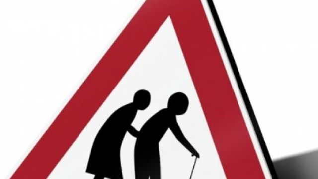 pensioni Quota 100, Quota 60, referendum