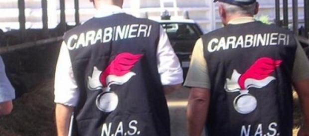Blitz del Nucleo Anti Sofisticazioni di Salerno Blitz del Nucleo Anti Sofisticazioni di Salerno