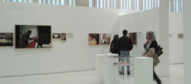 O quotidiano terrestre representado em fotografia. O quotidiano terrestre representado em fotografia.