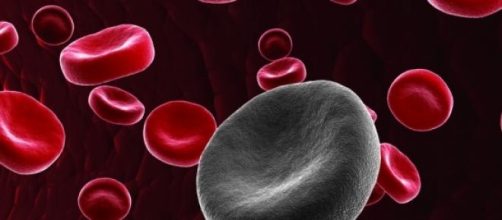 cellule del sangue, la ricerca scientifica 