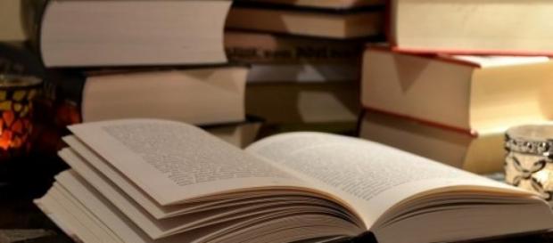 É importante o candidato se dedicar aos estudos É importante o candidato se dedicar aos estudos