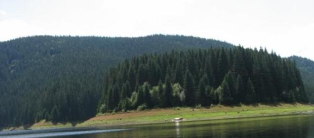 In timpul liber, in Ardeal la Lacul Belis In timpul liber, in Ardeal la Lacul Belis