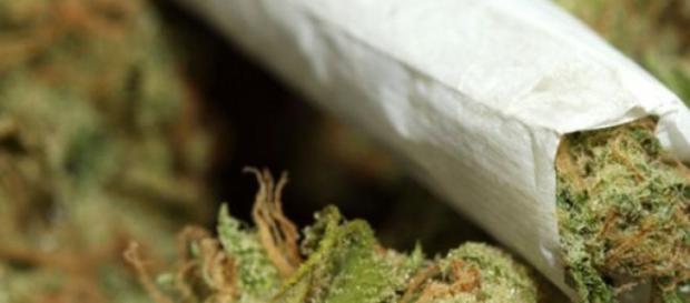 Marijuana- efect benefic in lumea sporturilor Marijuana- efect benefic in lumea sporturilor