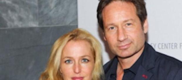 Quelle: www.gilliananderson.ws Quelle: www.gilliananderson.ws