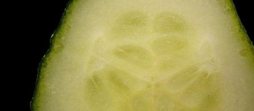 cucumber portion and seeds