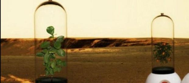 ESA buscará crear alimentos para astronautas ESA buscará crear alimentos para astronautas