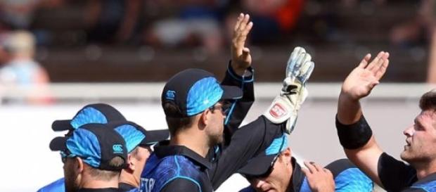 New Zealand celebrate a wicket New Zealand celebrate a wicket