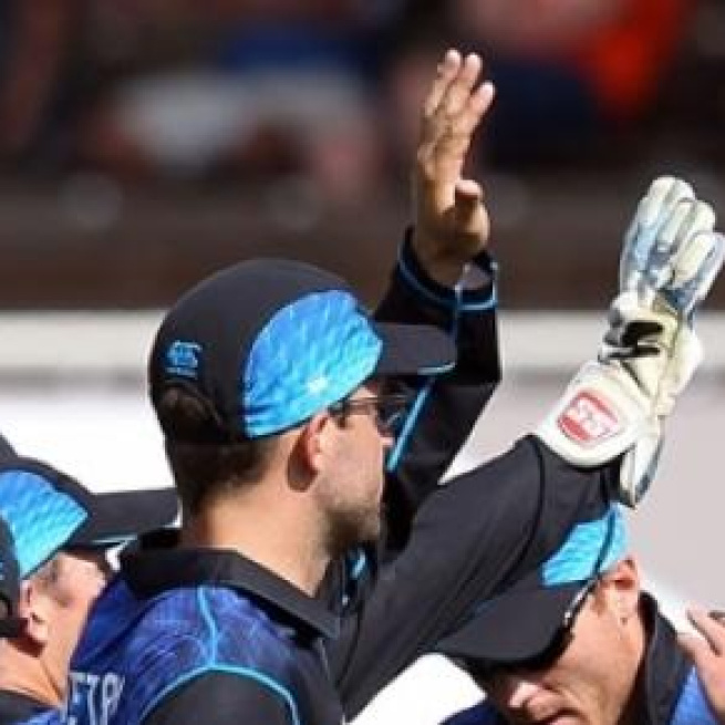 New Zealand celebrate a wicket