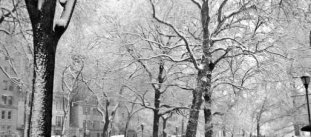New York City-Blizzard 2010 New York City-Blizzard 2010