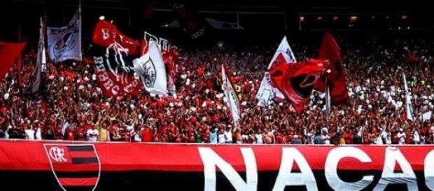 Flamengo é campeão do torneio super séries. Flamengo é campeão do torneio super séries.