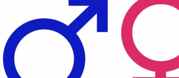 Hombres y mujeres, diferentes pero complementarios Hombres y mujeres, diferentes pero complementarios