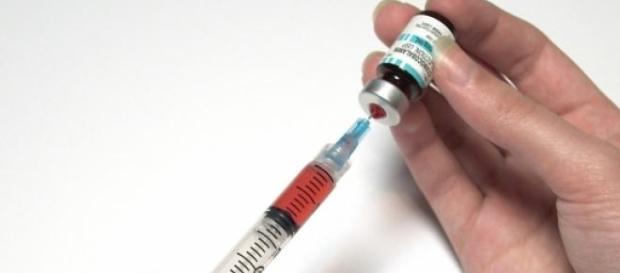 Detido falso médico veterinário Detido falso médico veterinário