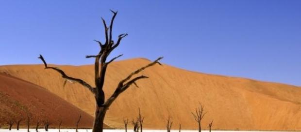 Namibia, lugar óptimo para las tonalidades simples Namibia, lugar óptimo para las tonalidades simples