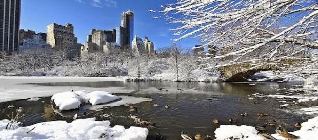 Parc de Manhattan, New-York. Parc de Manhattan, New-York.