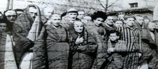 Prisioneros de Auschwitz cuando su liberación. Prisioneros de Auschwitz cuando su liberación.