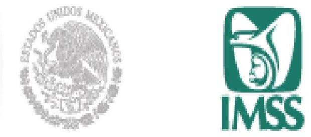 Logos que denigran los servicios que prestan Logos que denigran los servicios que prestan