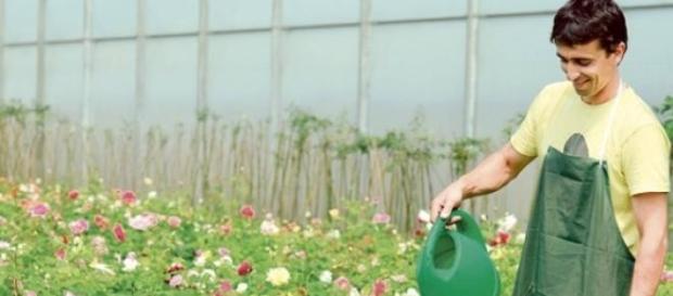 Ministerul Agriculturii sprijina tinerii fermieri Ministerul Agriculturii sprijina tinerii fermieri
