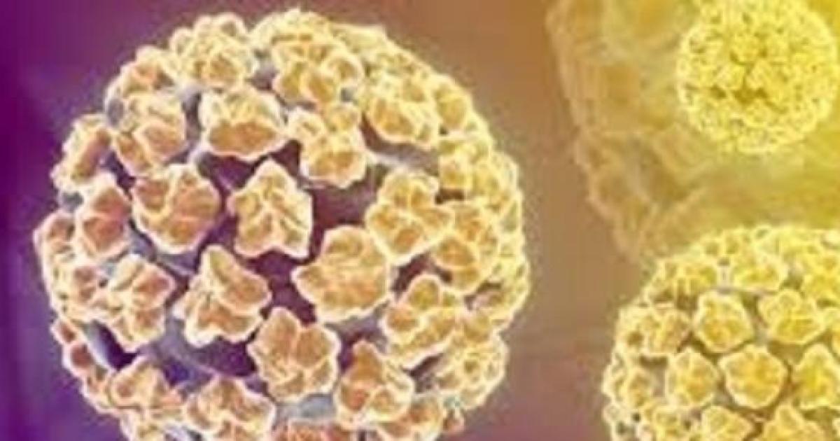 Un nuovo test per il Papilloma virus in Piemonte è già utilizzato