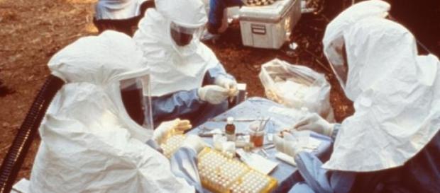 As mutações foram verificadas em sangue infectado. As mutações foram verificadas em sangue infectado.